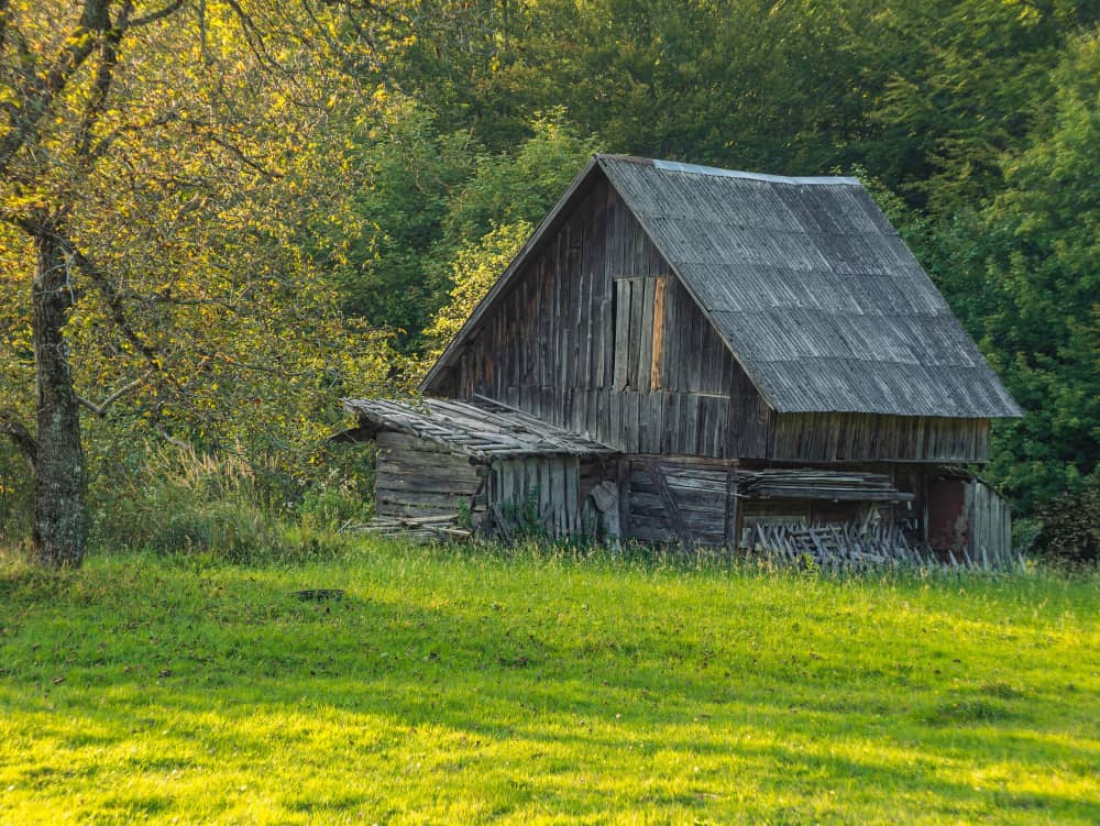 garden shed removal in Dublin