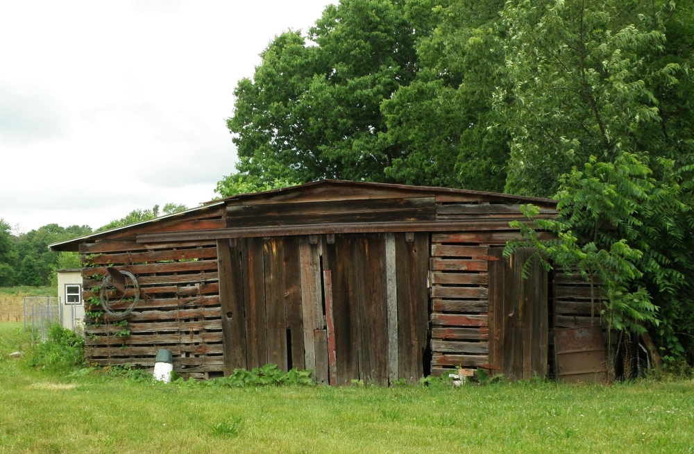 garden shed removal in Dublin